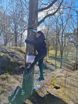 Fig. 3. Placing recording devices around Gothenburg.